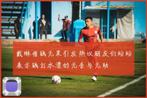 戴琳借钱无果引发热议朋友们纷纷表示钱打水漂的无奈与无助