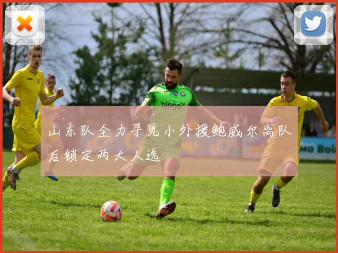 山东队全力寻觅小外援鲍威尔离队后锁定两大人选